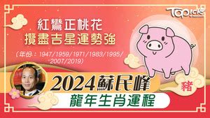 今年病位|2024年龍年布局｜蘇民峰教家居風水布局 趨旺財運桃 